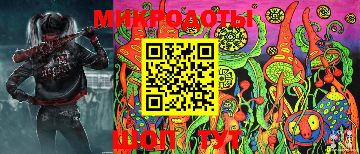 Галлюциногенные грибы Psilocybe Кашира