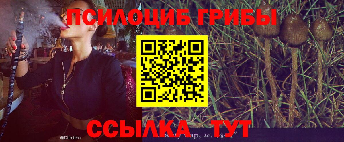 Кашира  Галлюциногенные грибы Psilocybine cubensis  Вход с VPN 